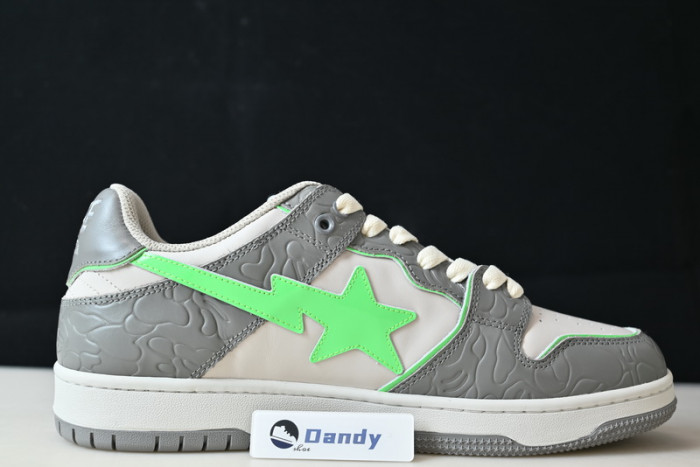 BAPE Shoe