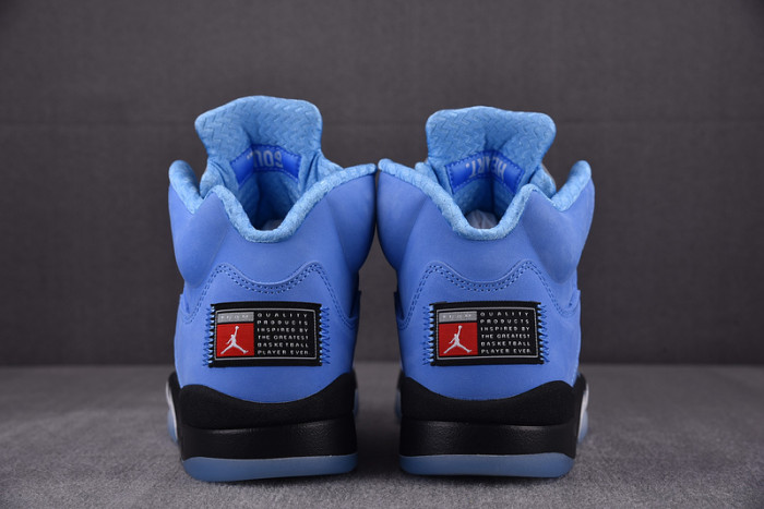 Air Jordan 5 Concord DV1310-401